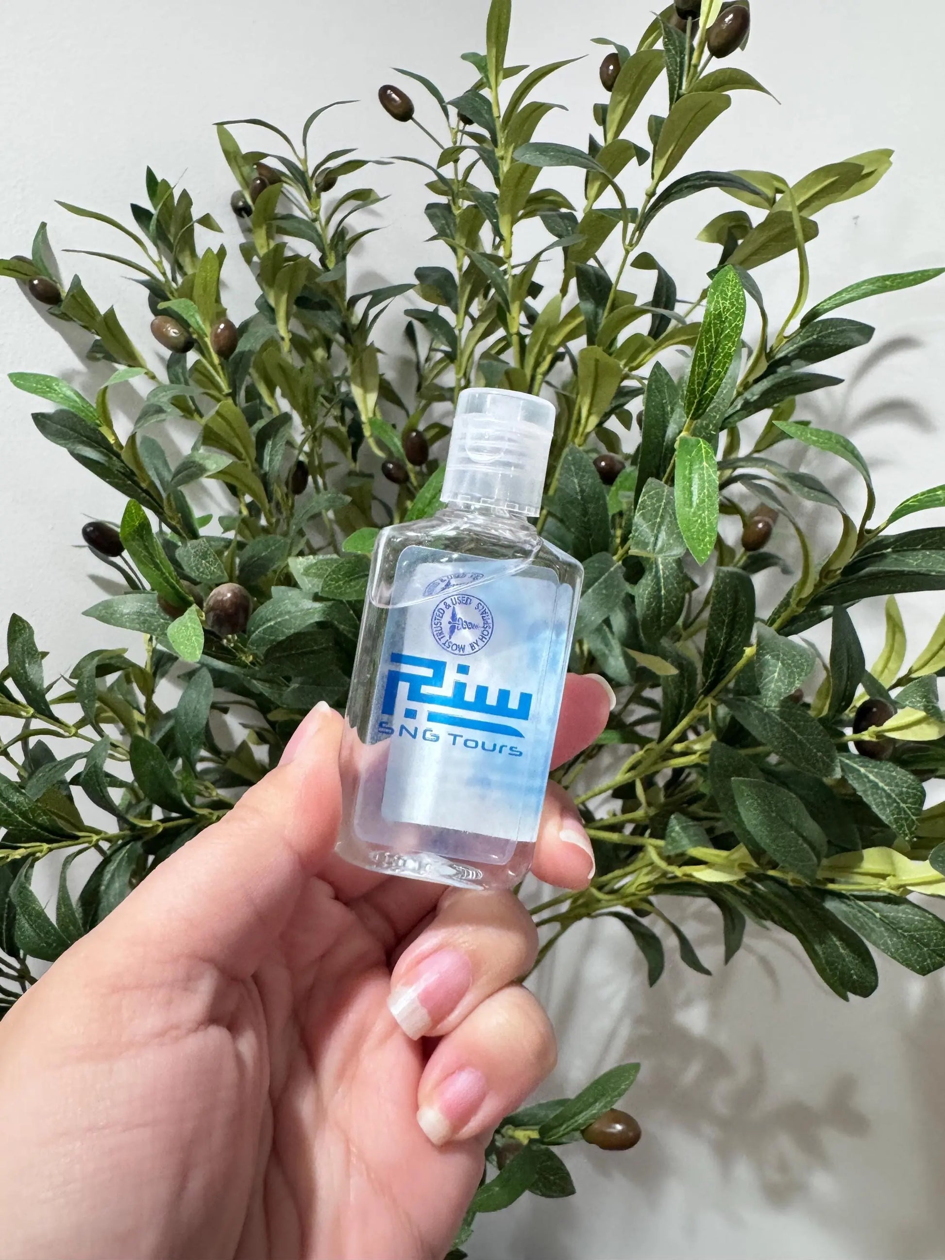 Hand Sanitizer with Custom Labels – Personalized Sanitizer Bottles Twentynine Luxury